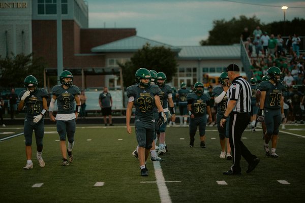 Guía vitalicia para el bienestar de tu conejo: consejos para una vida saludable