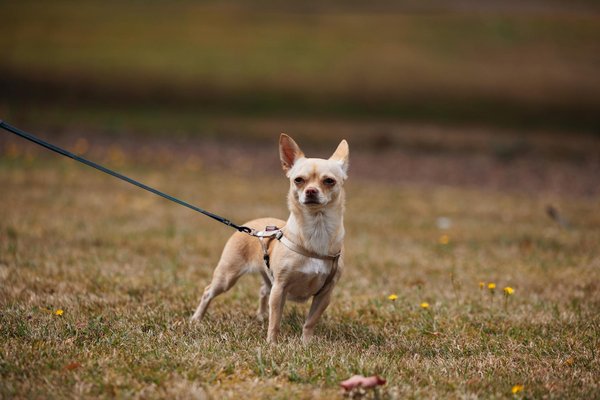 Transforma tu estilo personal: innovadoras claves con materiales ecológicos