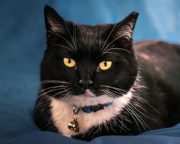 Descubre cómo crear vínculos emocionales con tus clientes mediante el arte del storytelling.